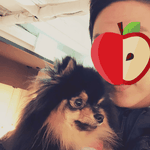 [방탄소년단] 애들 트레이너분 인별에 짜장<b>이친구</b>