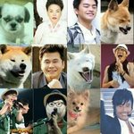 안경 바꿨는데 진짜 못생김ㅋㅋㅋㅋㅋ