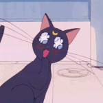 [드루와] 와 근데 이종석 ㄹㅇ 신기하지않냐