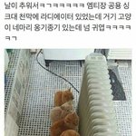 [드루와] 얘들아 내가 선생님 옷 빌렸는데