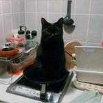 <b>옆</b><b>반</b>여자애들 개웃기다 ㅋㅋㅋㅋㅋㅋㅋㅋ