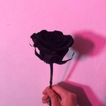 일상 <b>블로그</b> 하눈 사라암〜（ゝ。∂）