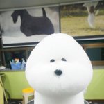 근데 요새 중딩들