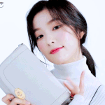 <b>헤지스</b>