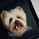 너무 리얼한 펠트 <b>공예</b>