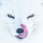 넘나 신비롭고 경이로운 <b>야생</b>의 순간