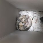 <b>북문</b>이 할아버지~~~~