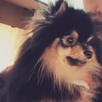 [방탄소년단] 탄이 크면서 이목구비 자기주장 강해지는게