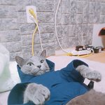 [무한사랑] <b>키티</b>의 사랑