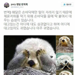 [드루와] 우리 담임 둘째임신사실 숨겼다가 오늘 걸림
