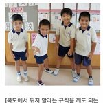 [추반] 포키 극<b>세사</b> 먹을까 오리지날 먹글까