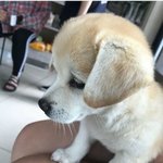 [댓글부탁해] 중3수학 문제 풀어줄 사람 있냐 쉬움