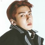 [세훈] <b>Tempo</b> 포카 &amp; 엽서 스캔본