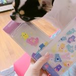 [댓글부탁해] 얘들아 너희는 <b>필통</b>에
