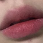 시험끝난기념 <b>존예</b> 틴트 소개