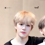 마음의 <b>안정화</b>를 주는 男돌 외모