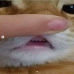 우리반 여자.남자애 일탈계 털림