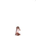 [댓글부탁해] 나 <b>콧대</b> 이 정도면 보통은 하는 거지..?