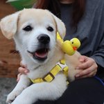 [댓글부탁해] 짱<b>절미</b> 사진 업뎃