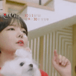 [댓글부탁해] 드라마에서 열연중인 존귀 강아지.<b>gif</b>