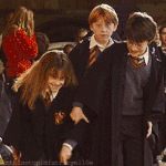 [세븐틴] 석순은