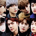 [EXO] 공지정화) 매일 투표해야할거^^❤