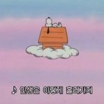 [댓글부탁해] 니 유튜브 <b>화질</b> 1080였는데 720으로 됐어 ㅠㅠ