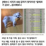 [댓글부탁해] 곧 <b>생일</b>인데 의미있게 보내는법있냐