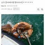 [댓글부탁해] <b>유지연</b> 이라는 이름 ㅇㄸ