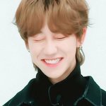 [세븐틴] 이번에 세븐틴 입덕한 캐럿인데