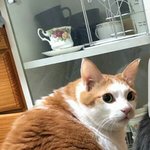 [댓글부탁해] 넌 나를 못 알아보고 10시에 <b>민</b><b>증</b> 검사 하러왔지
