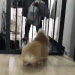 [댓글부탁해] 생<b>라면</b> 칼로리 몇이야?