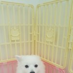 연천이 <b>시골</b>이야?