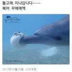 [19] 나 슴사진 찍은거 있는데