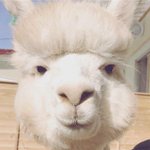 [드루와] 나만 문띄 점띄 개빡치냐?