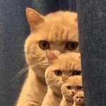 [댓글부탁해] 이러면 <b>몸</b>에 <b>안</b>좋을까