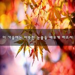 [꼭봐주세요] <b>이</b> <b>가을</b>에는 따뜻한 눈물을 배우게 하소서~