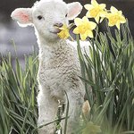 [ㅈㄱㄴ] 페메왔는데 일부러 그런건지 좀 봐<b>주</b><b>셈</b>