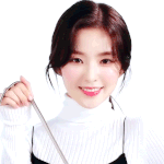 <b>헤지스</b>