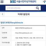 유명 <b>SNS</b> 셀러의 마녀사냥! 사건 정황 요약! 국민청원에 힘을...