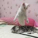 [드루와] 니네 이노래 아냐 ㄹㅇ <b>국뽕</b>참ㅋㅋㅋㅋ