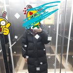 이 사진보면 <b>기장</b> 어느정도 돼보여?