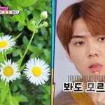 [EXO] 나만 세훈이 이때 넘 잘생겨서 <b>감탄</b>했냐?ㅋㅋ