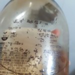 [댓글부탁해] 바디<b>워시</b> 글씨 지워졌는데 징그러움