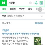[NCT] 이게 머야 <b>계란꽃</b> 정답이래