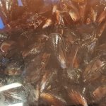 홈**스 <b>홍합</b>...신선도?이런거 사실건가요?