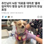 특성화고 면접보러고 <b>조퇴</b> 한사람 ~~