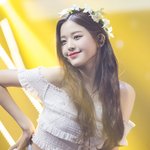 같은 토끼 다른 느낌