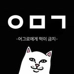 [방탄소년단] 눙기같은 마음을 가져보자