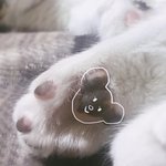 [드루와] 3개월 아깽이 발바닥보고가세유